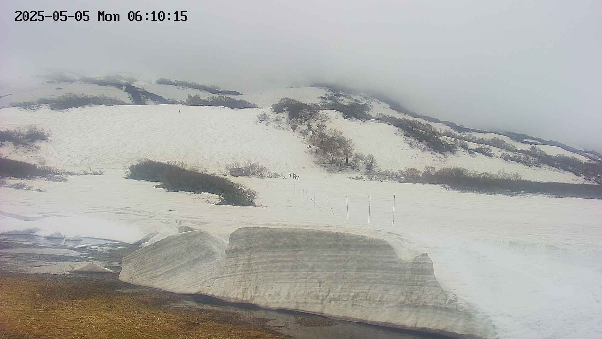 area1-20250505061017.jpg