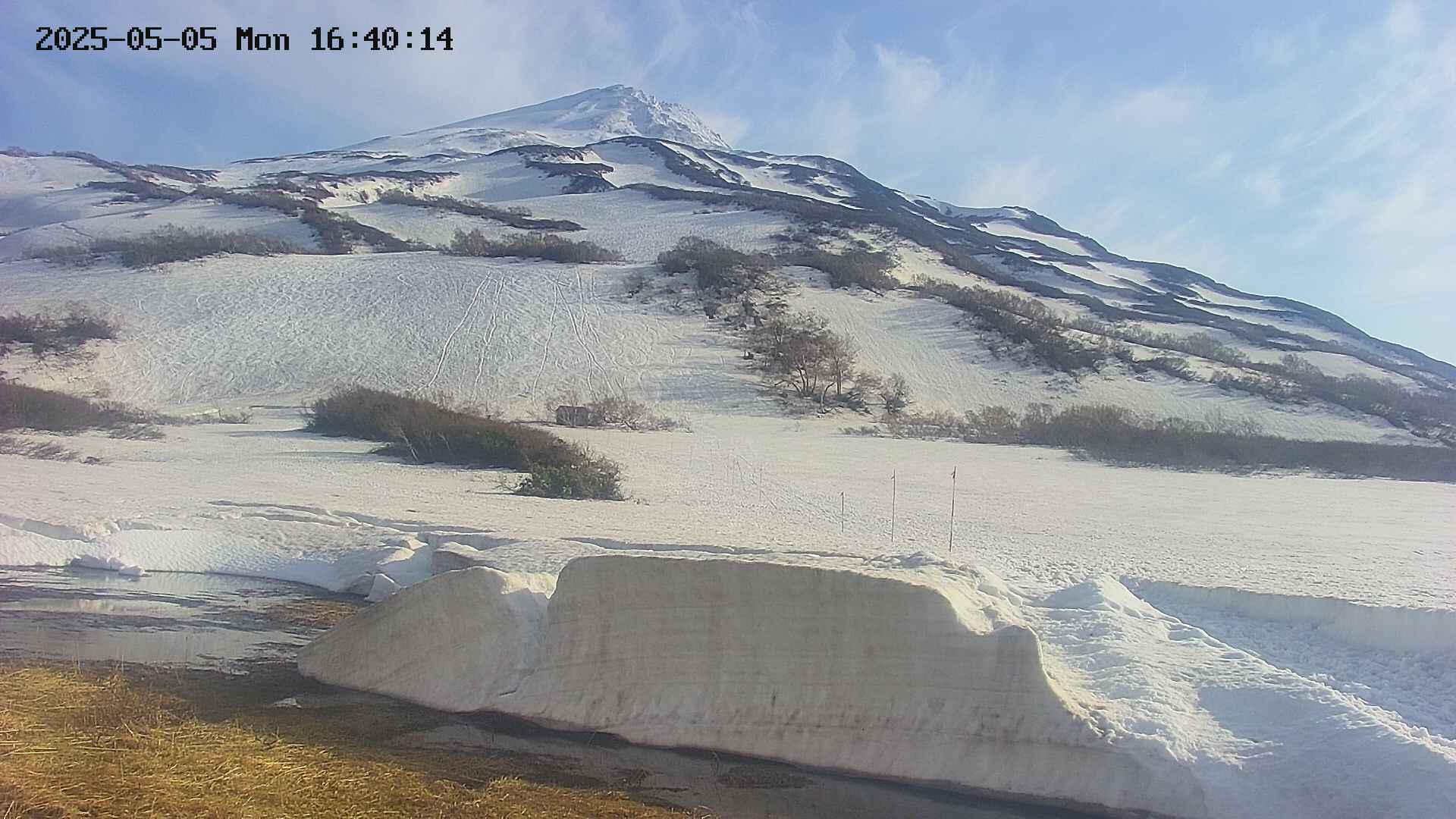 area1-20250505164021.jpg