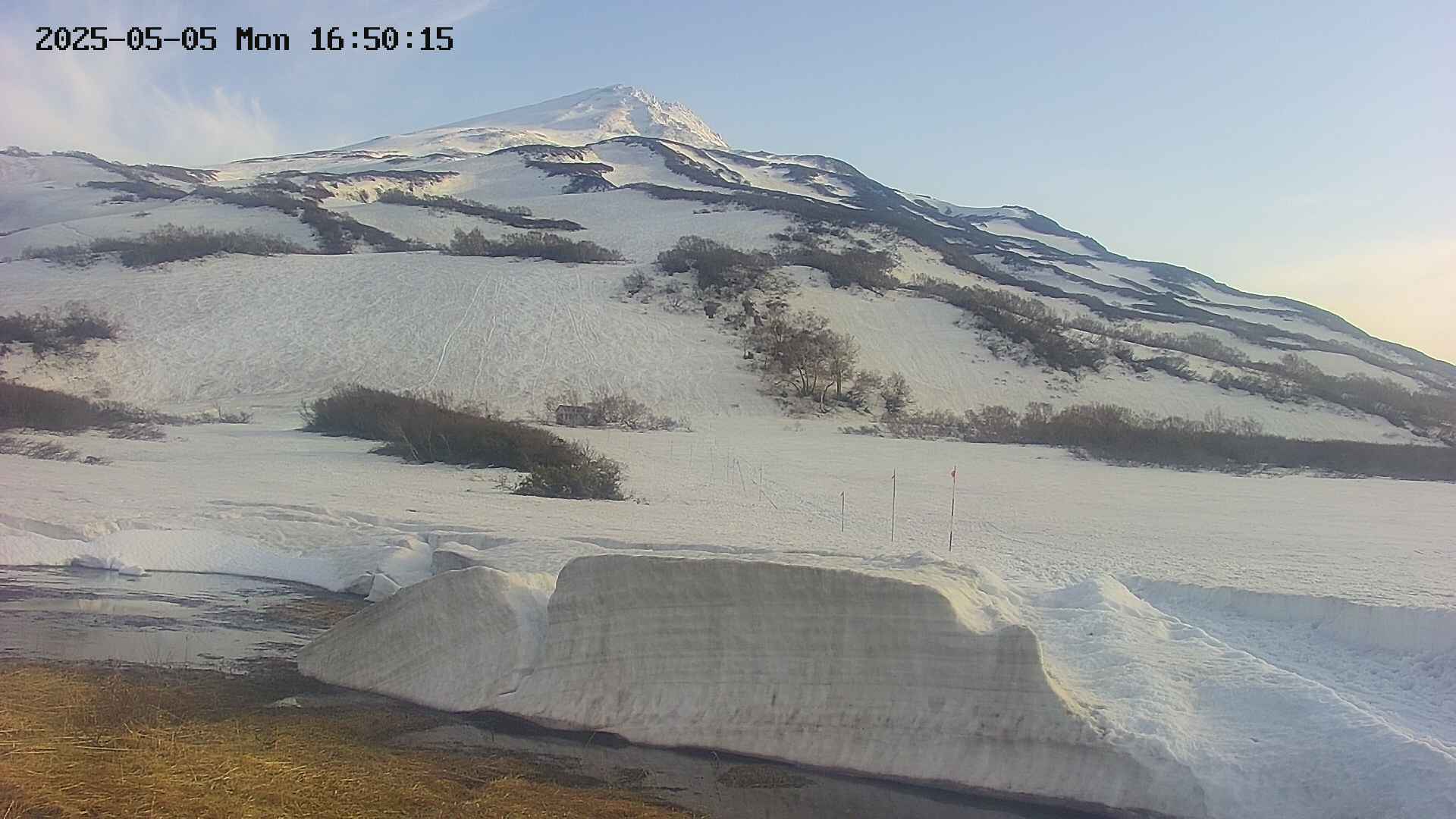 area1-20250505165020.jpg