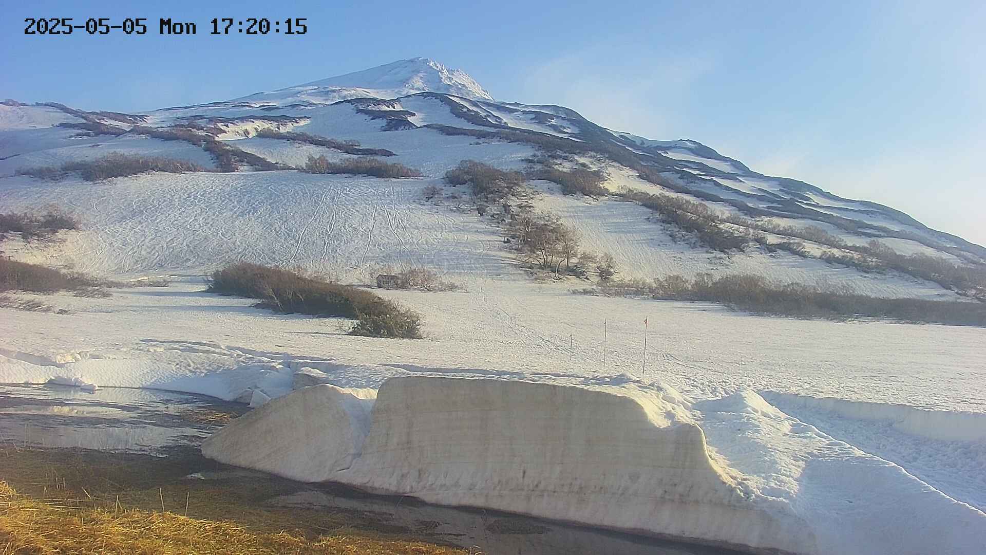 area1-20250505172020.jpg