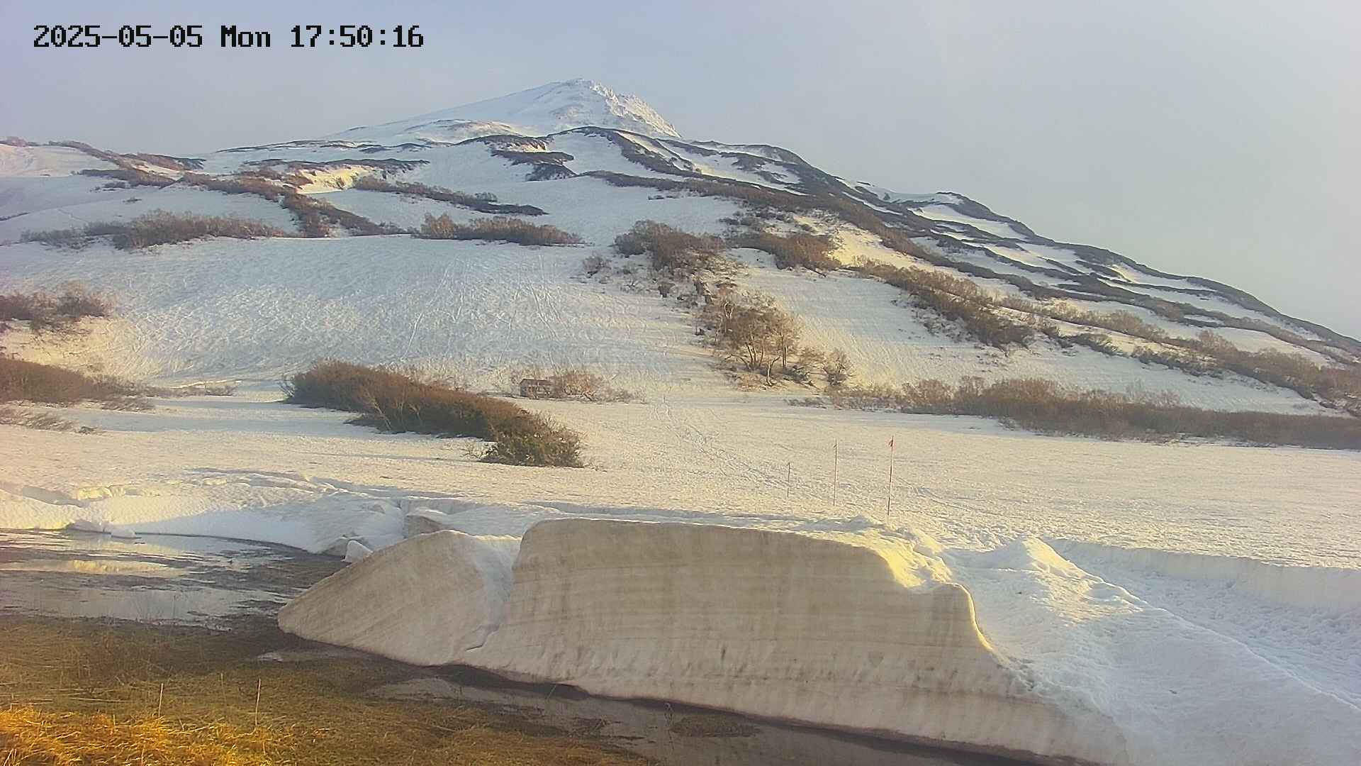 area1-20250505175020.jpg