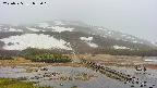 area1-20250525053019.jpg