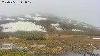 area1-20250525084017.jpg