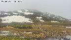 area1-20250525085018.jpg