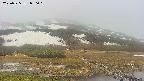 area1-20250525090019.jpg