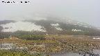 area1-20250525091019.jpg