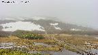 area1-20250525113020.jpg