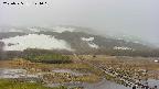 area1-20250525124020.jpg