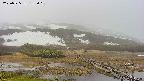 area1-20250525132019.jpg