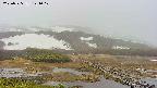 area1-20250525141018.jpg