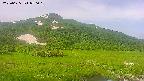 area1-20250625070019.jpg