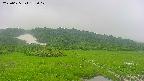 area1-20250625152018.jpg