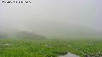 area1-20250627050018.jpg
