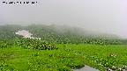 area1-20250627061016.jpg