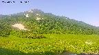area1-20250629070021.jpg