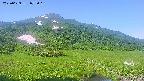 area1-20250629072019.jpg