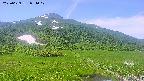 area1-20250629094021.jpg