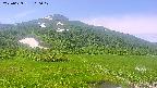 area1-20250629100021.jpg