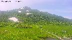 area1-20250629111022.jpg