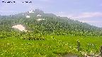 area1-20250629120027.jpg