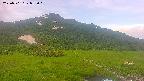 area1-20250701052019.jpg
