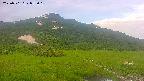 area1-20250701053019.jpg