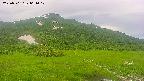 area1-20250701061018.jpg