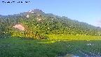 area1-20250702050020.jpg