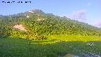 area1-20250702051018.jpg