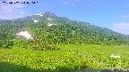 area1-20250702070021.jpg