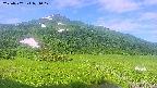 area1-20250702071022.jpg