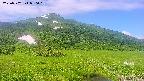 area1-20250702080024.jpg