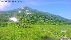 area1-20250702083021.jpg