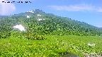 area1-20250702084020.jpg