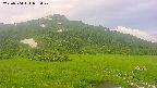 area1-20250704053021.jpg