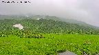 area1-20250705074018.jpg