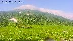 area1-20250707073019.jpg