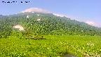 area1-20250707080021.jpg