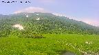 area1-20250707092020.jpg