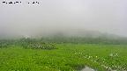area1-20250707142018.jpg