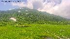 area1-20250710120020.jpg