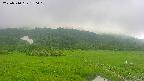 area1-20250710150017.jpg