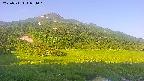 area1-20250711054019.jpg
