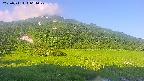 area1-20250711061023.jpg