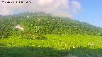 area1-20250711062020.jpg