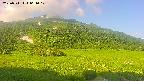 area1-20250711064020.jpg