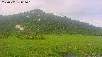 area1-20250712061020.jpg