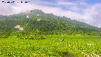 area1-20250712081024.jpg
