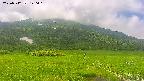 area1-20250712120019.jpg