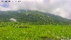 area1-20250712122025.jpg